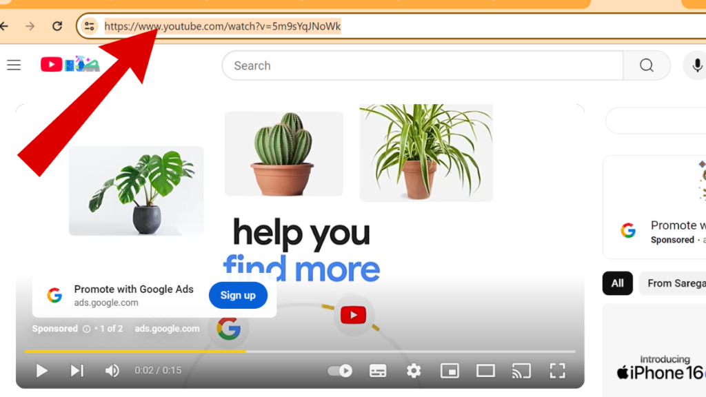 YouTube to MP3